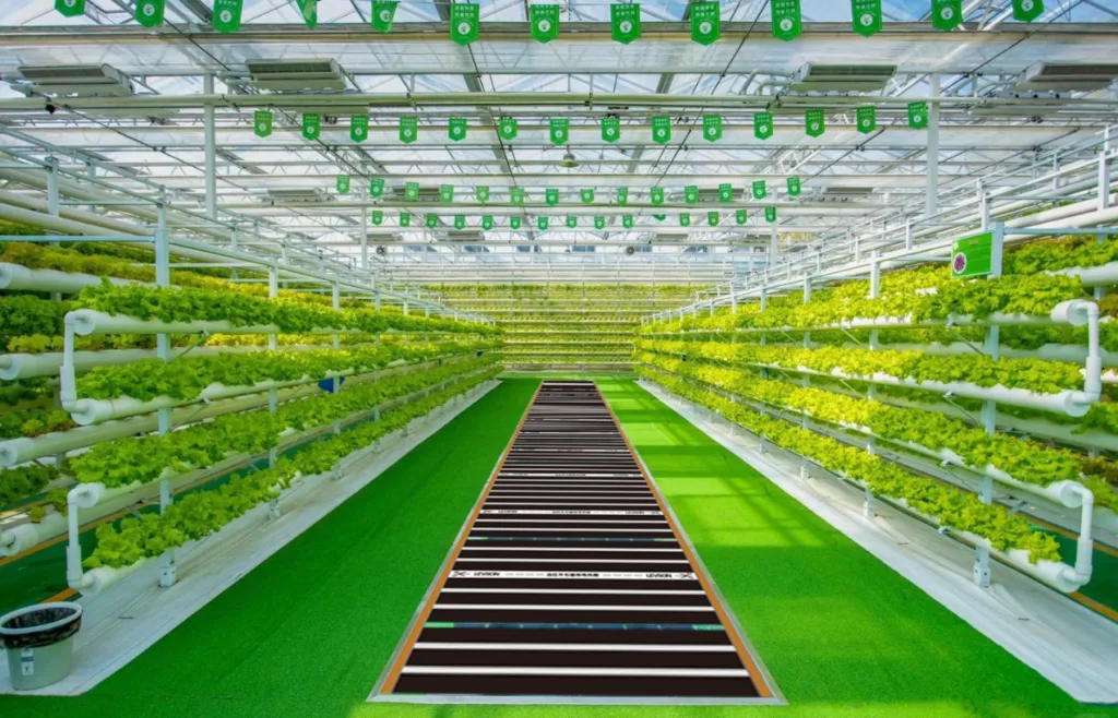 greenhouse heating